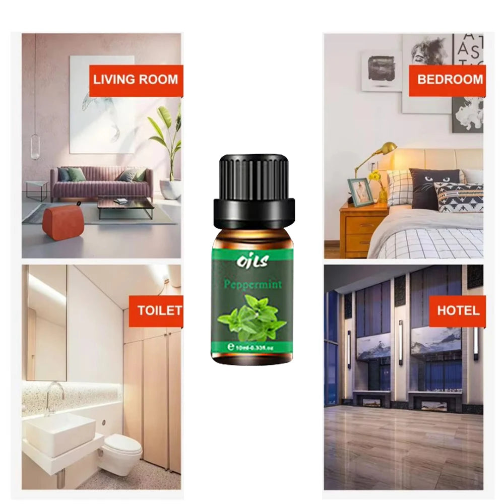 Essential Oil Gift Set 6 Natural Aromatherapy Oils (Eucalyptus Vanilla Peppermint Lemongrass Included)