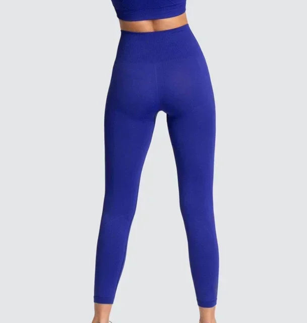 Seamless Yoga Sports Bra and Leggings