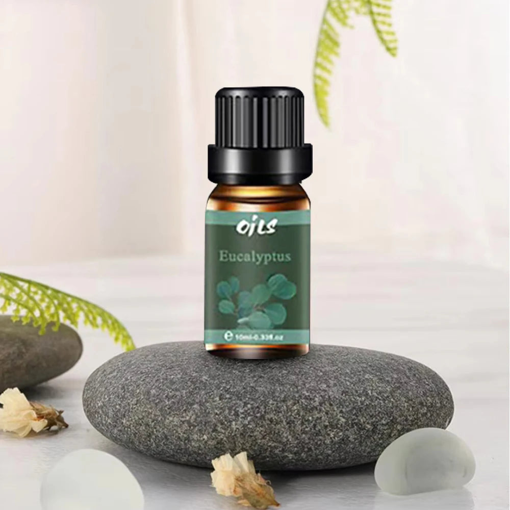 Essential Oil Gift Set 6 Natural Aromatherapy Oils (Eucalyptus Vanilla Peppermint Lemongrass Included)