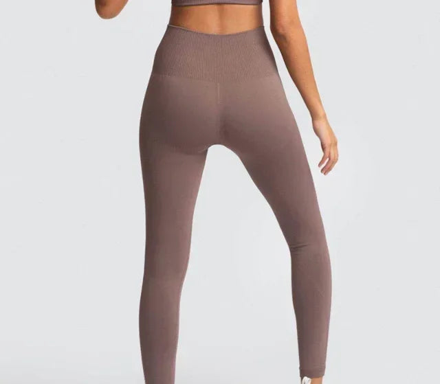 Seamless Yoga Sports Bra and Leggings