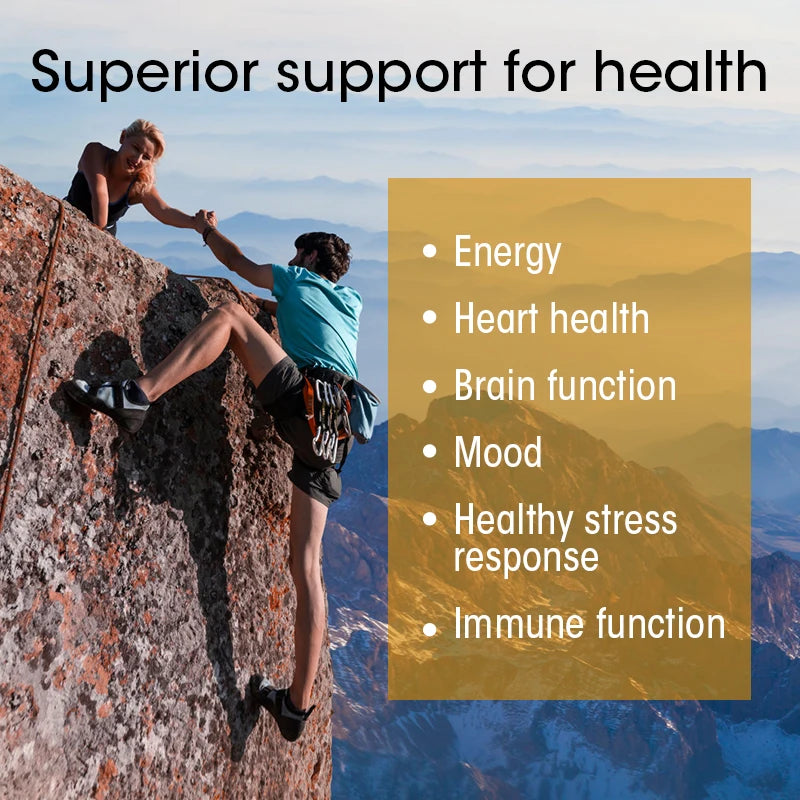 Vitamin B Capsule VB B1 B2 B3 B5 B6 B7 B9 B12