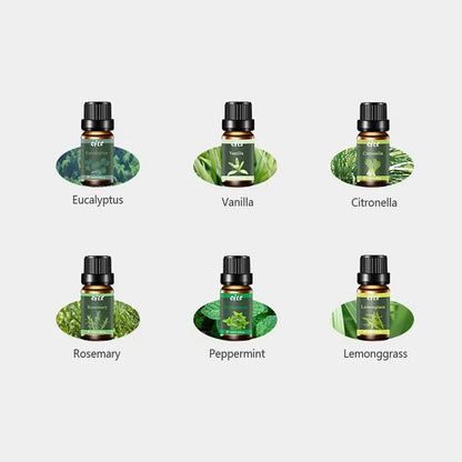 Essential Oil Gift Set   6 Natural Aromatherapy Oils  (Eucalyptus  Vanilla  Peppermint  Lemongrass Included)