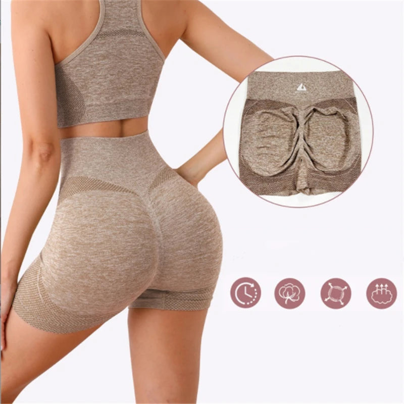 Gym Shorts Sport Bras Gym Set Seamless Yoga Sets