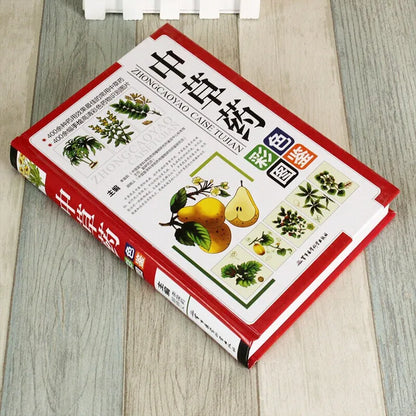 The natural healing handbook
