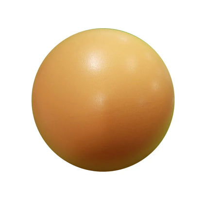 Yoga  Fitness Balls  Pilates Training Workout