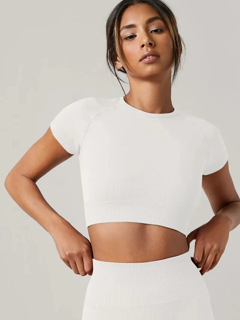 Yoga Top Seamless Sport T Shirts