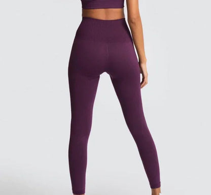 Seamless Yoga Sports Bra and Leggings