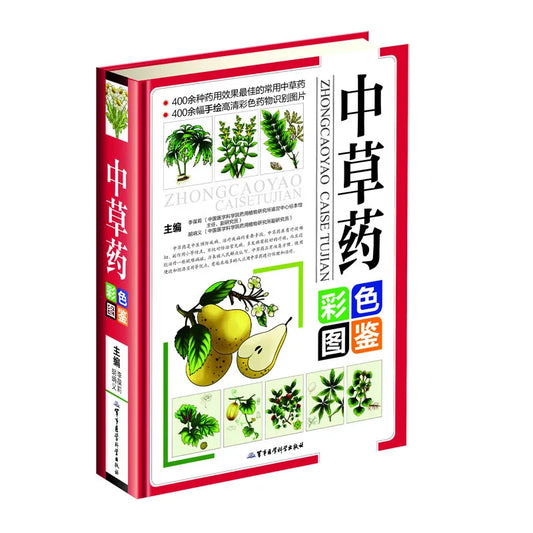 The natural healing handbook