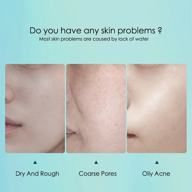 10pcs Hyaluronic Acid Facial Mask Sheet