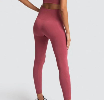 Seamless Yoga Sports Bra and Leggings
