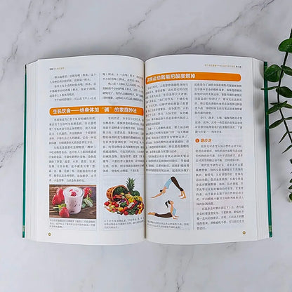 Holistic guide to wellness book