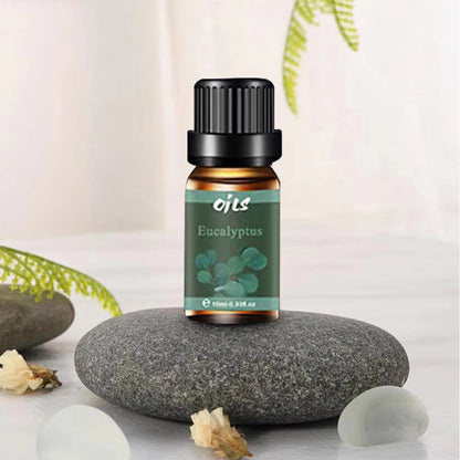 Essential Oil Gift Set   6 Natural Aromatherapy Oils  (Eucalyptus  Vanilla  Peppermint  Lemongrass Included)
