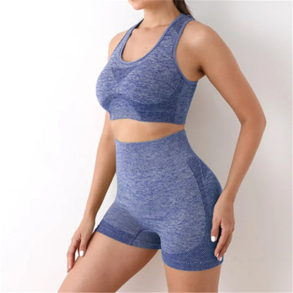 Gym Shorts Sport Bras Gym Set Seamless Yoga Sets