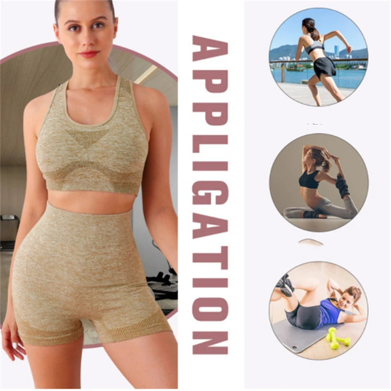 Gym Shorts Sport Bras Gym Set Seamless Yoga Sets